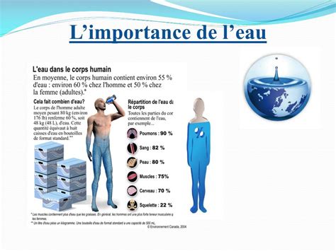 l'importance de l'eau pour l'homme